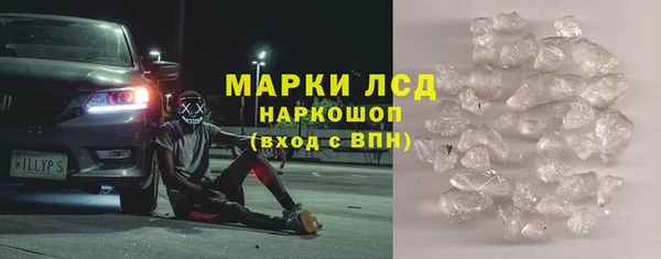 стаф Алзамай