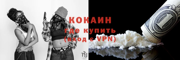 стаф Алзамай