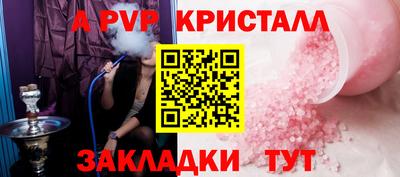 ешки Кингисепп