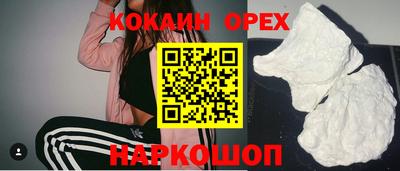 ешки Кингисепп