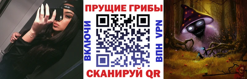 Псилоцибиновые грибы GOLDEN TEACHER Лесной
