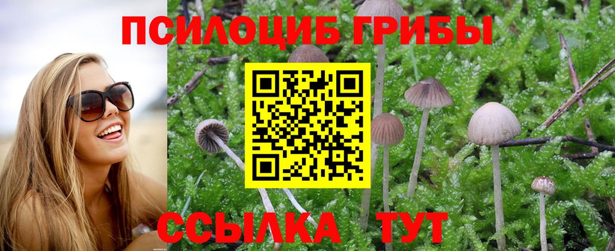 Галлюциногенные грибы Magic Shrooms  Вход с VPN  Лесной 